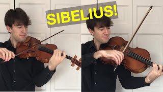 Violin vs Viola Playing the Same Pieces [upl. by Marcelia261]