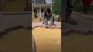 Harringbone Paver Patio throwback october landscape foryou fyp fypシ゚viral shorts subscribe [upl. by Colwin784]