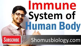 Innate and adaptive immunity  immune system of human body lecture [upl. by Revert]