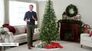 75 ft Delicate Pine Slim PreLit Christmas Tree  Product Review Video [upl. by Allemac]