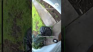 Thief disguised as trash bag steals package [upl. by Haya]