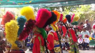 Danzantes Matlachines  Matachines de Jesus Maria  Ags  Mexico [upl. by Atiuqcaj]