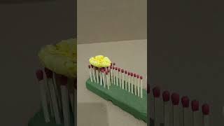 Matchsticks vs luffa flower matchstick [upl. by Druce]