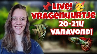 LIVE Voor en nadelen CO2 voeding kiezen goede aquariumwinkels  Meer Nickey [upl. by Boothe]