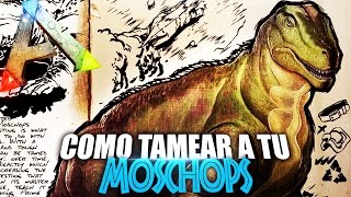 COMO TAMEAR A TU MOSCHOPS  Guia Español  Ark Survival Evolved [upl. by Anerbes]