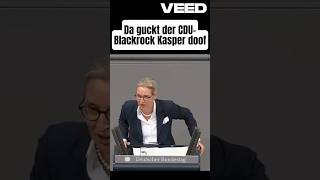 Alice Weidel zerlegt den CDUBlackrock Kasper aliceweidel merz [upl. by Ettenot]