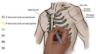 Como hacer un ECG electrocardiograma [upl. by Priest]