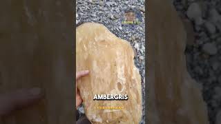 ambergris rare [upl. by Sundstrom]