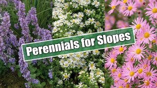 Gardening on Slopes Here Are 10 Perennials for Sun and Shade [upl. by Lind]