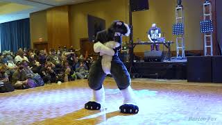 Anthro New England 2024  Dance Competition  Gray [upl. by Buttaro]