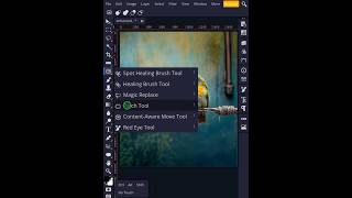 Photopea 2024 Tips  How to use Pacth tool photopea photopeaturial photoshop shorts [upl. by Clorinda]