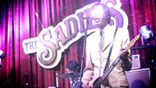 The Sadies  quotThe Very Beginningquot Official Music Video [upl. by Atorod]