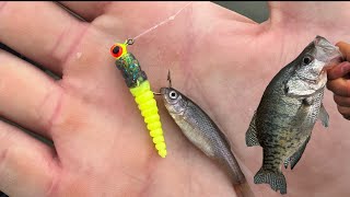 How To Limit Out On Crappie In The Summer [upl. by Oinotnanauj]