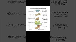 Types of inflammatory exudate nclexreview nclex nclexstudying [upl. by Yde867]