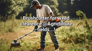 Brush cutter usage for weed clearence in agriculture field brushcutteragritoolsshortsfeed [upl. by Kenwee]