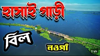 হাসাইগাড়ি বিল নওগাঁ 👀 naogaon rajshahi foryou gsxr150 [upl. by Concettina]