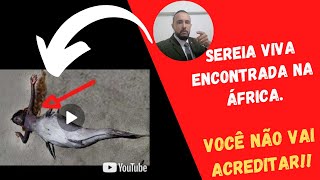 URGENTE SEREIA ENCONTRADA NA ÁFRICA DO SUL E EM UMA DAS PRAIAS DE ANGOLA SERÁ VERDADEMuizenberg [upl. by Attenaj]