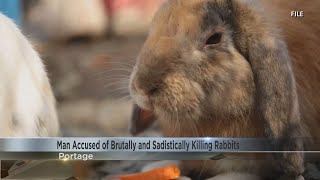 Man accused of brutally and sadistically killing rabbits burying them in backyard [upl. by Duile]