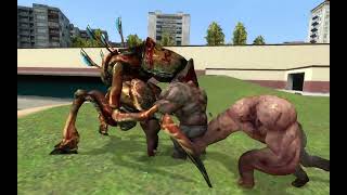 Antlion Vs L4d2 Infecteds Gmod Battles [upl. by Dart]