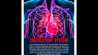 How Your Heart amp Blood Vessels Work physiologyofblood [upl. by Holden639]