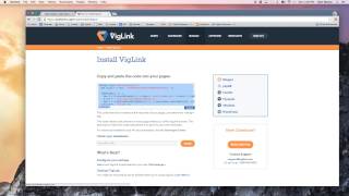 How to Install VigLink on Wordpress [upl. by Aplihs184]