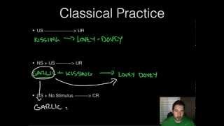 AP Psychology  Learning  Part 1  Classical Conditioning [upl. by Eisteb]