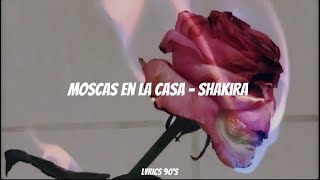 Moscas en la casa  SHAKIRA letralyrics [upl. by Dripps905]