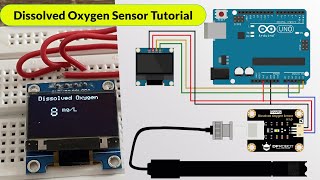 Analog Dissolved Oxygen Sensor Tutorial  DIY Arduino DO Meter [upl. by Beedon895]