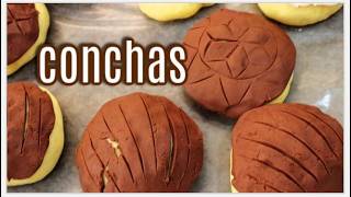 COMO PREPARAR CONCHAS DE CHOCOLATE Y VAINILLA POSTRES COCINA TRADICIONAL MEXICANA [upl. by Yarvis]