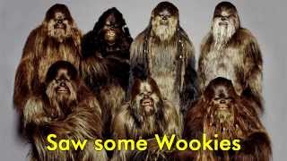 Saw Some Wookies [upl. by Gustafson]