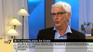 Experten quotRyanair vinnare på flygstrejkenquot  Nyhetsmorgon TV4 [upl. by Ten]