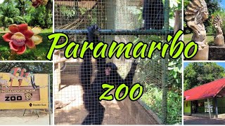 Paramaribo Zoo november 2024 [upl. by Dhar82]