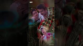 Salangai oli 1983 song 🥰🥰🥰Whatsapp status short [upl. by Cheryl]