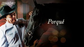 Porqué  Aries Vigoth Audio Oficial [upl. by Luzader663]