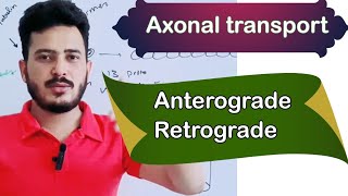 axonal transportaxoplasmic transportaxoplasmic flowmdcat neet biology [upl. by Forta13]