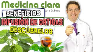 INFUSIÓN Té de ORTIGAS 🌿 FANTÁSTICO REMEDIO NATURAL  Medicina Clara [upl. by Erialb]