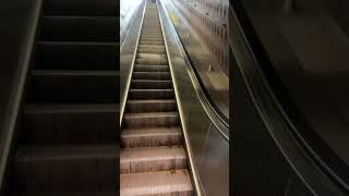 Montreal Metro Escalators VS Stairs BEAUBIEN STATION  Thang cuốn VS Thang bộ October 01st 2024 [upl. by Melise847]