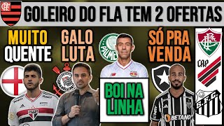 OFERTA GIGANTE POR BERALDO CAETANO GALO OU TIMÃO VERDÃO PERDE OPÇÃO PARA ABEL PATRICK SANTOS E [upl. by Blatt]