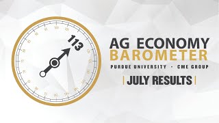 Ag Economy Barometer Breakdown July 2024 Survey [upl. by Eanel]