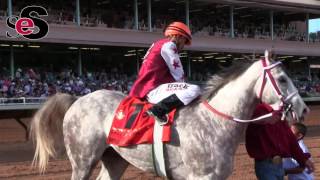 2016 All American FuturityG1 Experience [upl. by Hoang]