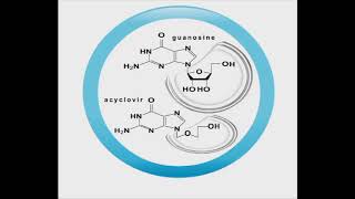 Antiviral animation Acyclovir [upl. by Retsae]