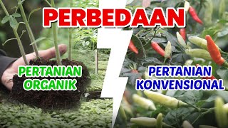 Bahas Tuntas Kelebihan dan Kekurangan Pertanian Organik dan Pertanian Konvensional [upl. by Eirahcaz]