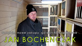 Bocheńczak Jan  gołębie nowe nabytki gołębniki rozpłodowe [upl. by Rramel]