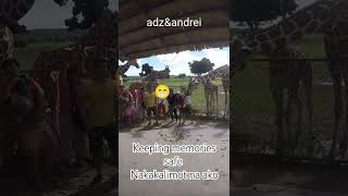 Makakalimutin vs Nakakalimot Calauit Island Palawan shorts short shortvideo shortsvideo trend [upl. by Annyl]