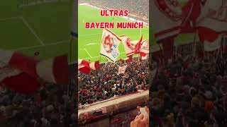 Ultras Bayern Munich chants football shortsviral fyp [upl. by Nealah989]