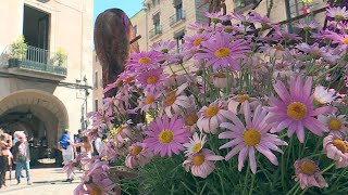 Gérone Catalogne  capitale des fleurs [upl. by Yecart908]