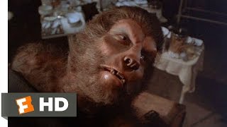 The Island of Dr Moreau 212 Movie CLIP  The Possibilities Are Endless 1977 HD [upl. by Amein805]