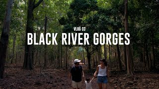 WE TOOK A PLUNGE IN THE ROCK POOL AT THE BLACK RIVER GORGES NATIONAL PARK MAURITIUS  VLOG 3 [upl. by Talia]