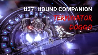 WARFRAME COMPANION UPDATE  TERMINATOR DOGGO [upl. by Aholla644]