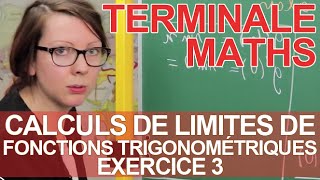 Calculs de limites de fonctions trigonométriques  Ex 3  Maths terminale  Les Bons Profs [upl. by Tanner]